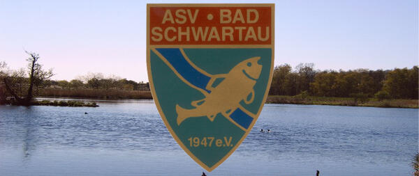 Bild vergr&ouml;&szlig;ern: ASV