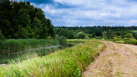 Die Fotografie zeigt die Schwartauwiesen.

An den Ufern des Flusses Schwartau unweit des Bad Schwartauer Kurparks befinden sich Feuchtwiesen, die »Schwartauwiesen« genannt werden.
Da naturbelassene Flusslandschaften wie die Schwartauwiesen in Europa selten geworden und nur noch abschnittsweise erhalten sind, wurde diese Schwartau-Niederung 2007 als FFH-Gebiet von der EU anerkannt. Die sogenannte Fauna-Flora-Habitat-Richtlinie, kurz FFH-Richtlinie, ist eine Naturschutz-Richtlinie der Europäischen Union.  Die Anerkennung geschah unter anderem aufgrund der hohen Bedeutung für den Erhalt von bedrohten Tierarten wie Fischotter, Bachmuschel, Steinbeißer und verschiedenen Fledermausarten.