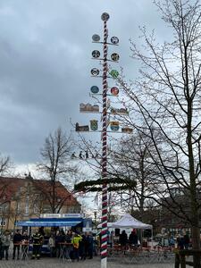 Bild vergr&ouml;&szlig;ern: Maibaumaufstellung 2023