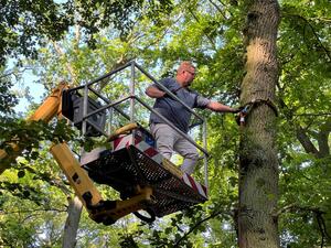 Bild vergr&ouml;&szlig;ern: Arbeiten am Baum