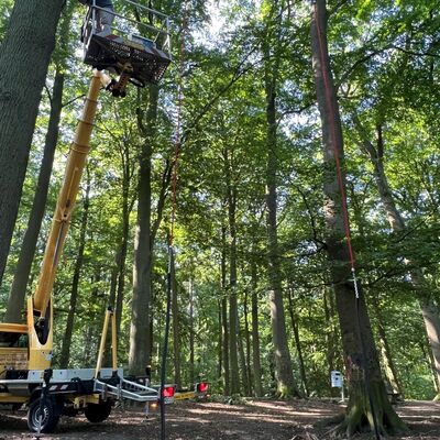 Bild vergr&ouml;&szlig;ern: Arbeiten auf dem Hubsteiger