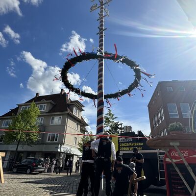 Maibaum 2026
