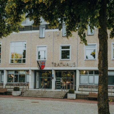 Rathaus mit Baum