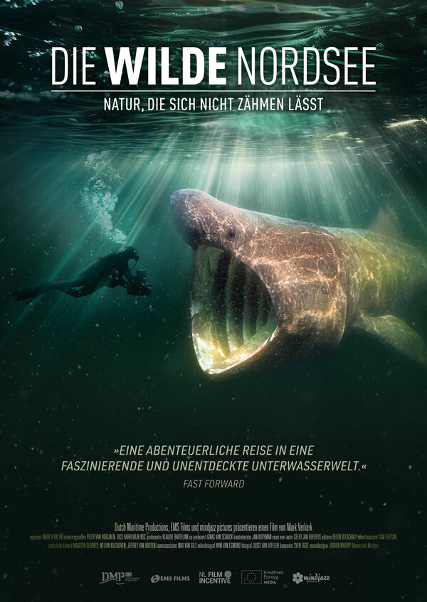 Bild vergr&ouml;&szlig;ern: DWN_webplakat_a4-scaled