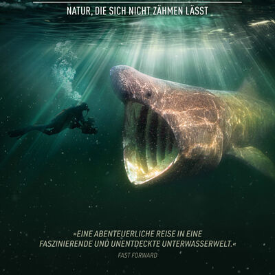 DWN_webplakat_a4-scaled